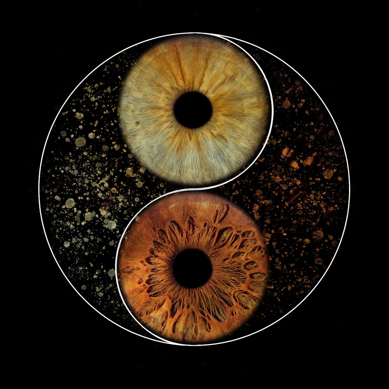 Yin yang symbol featuring two detailed human eyes with golden and brown irises on black background.