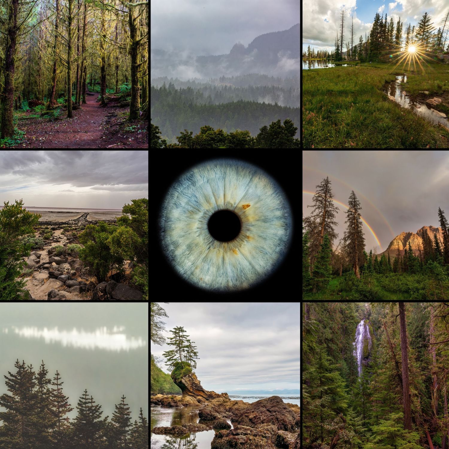 A collage of nine Pacific Northwest nature photos surrounding a close-up blue iris eye macro photograph.