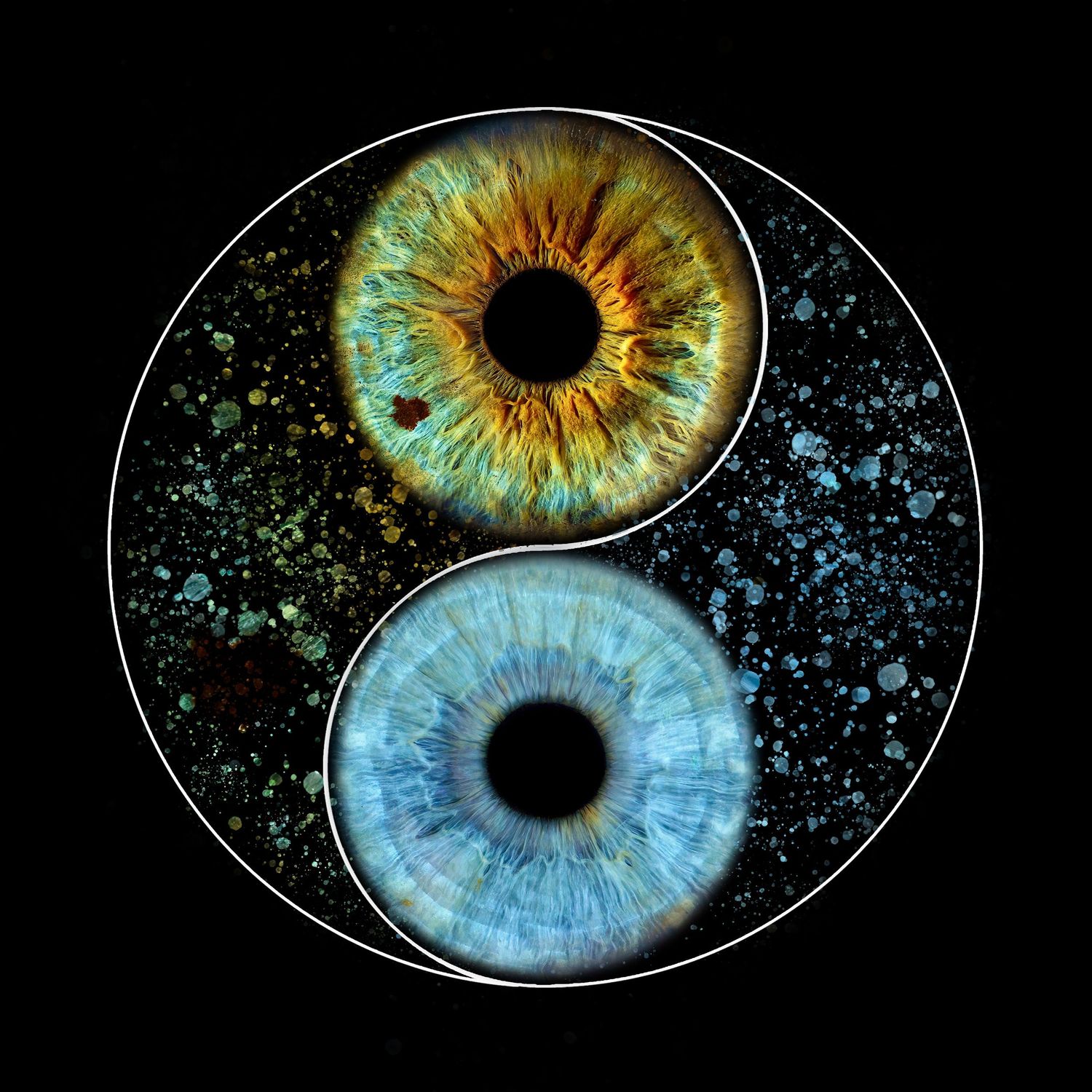 Creative yin yang symbol made from two detailed iris images in contrasting green-gold and blue colors against black background.
