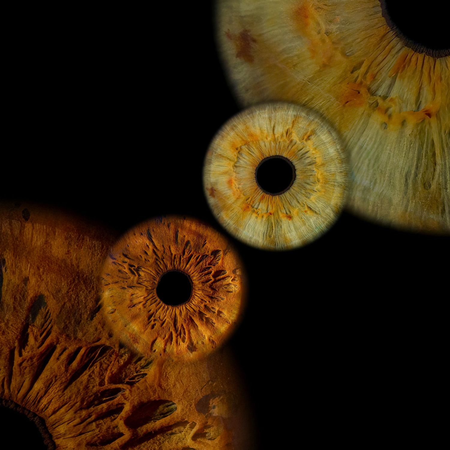 Two golden brown human irises overlapping with mushroom-like textures on a dark background.