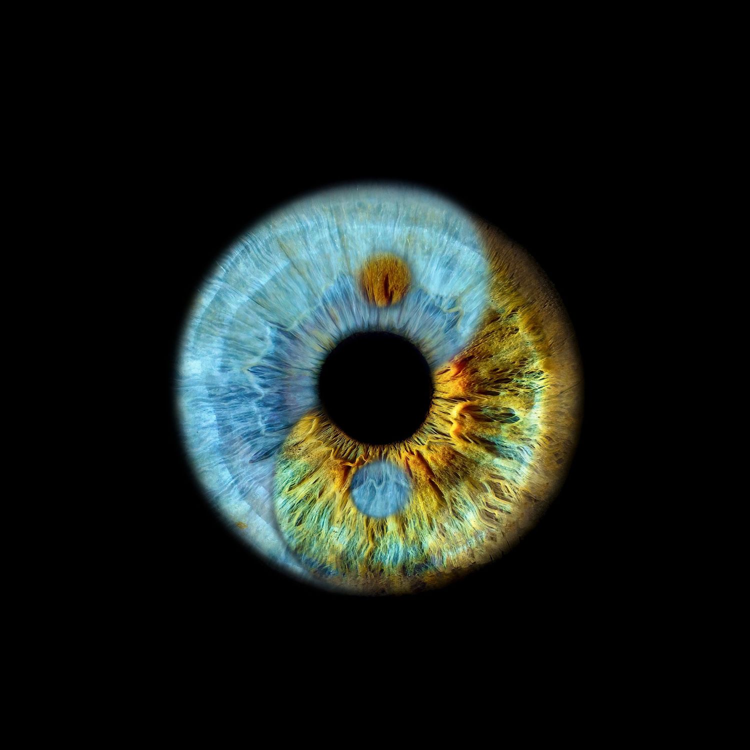 Close-up macro photograph of a human iris showing intricate blue and gold patterns against a black background.