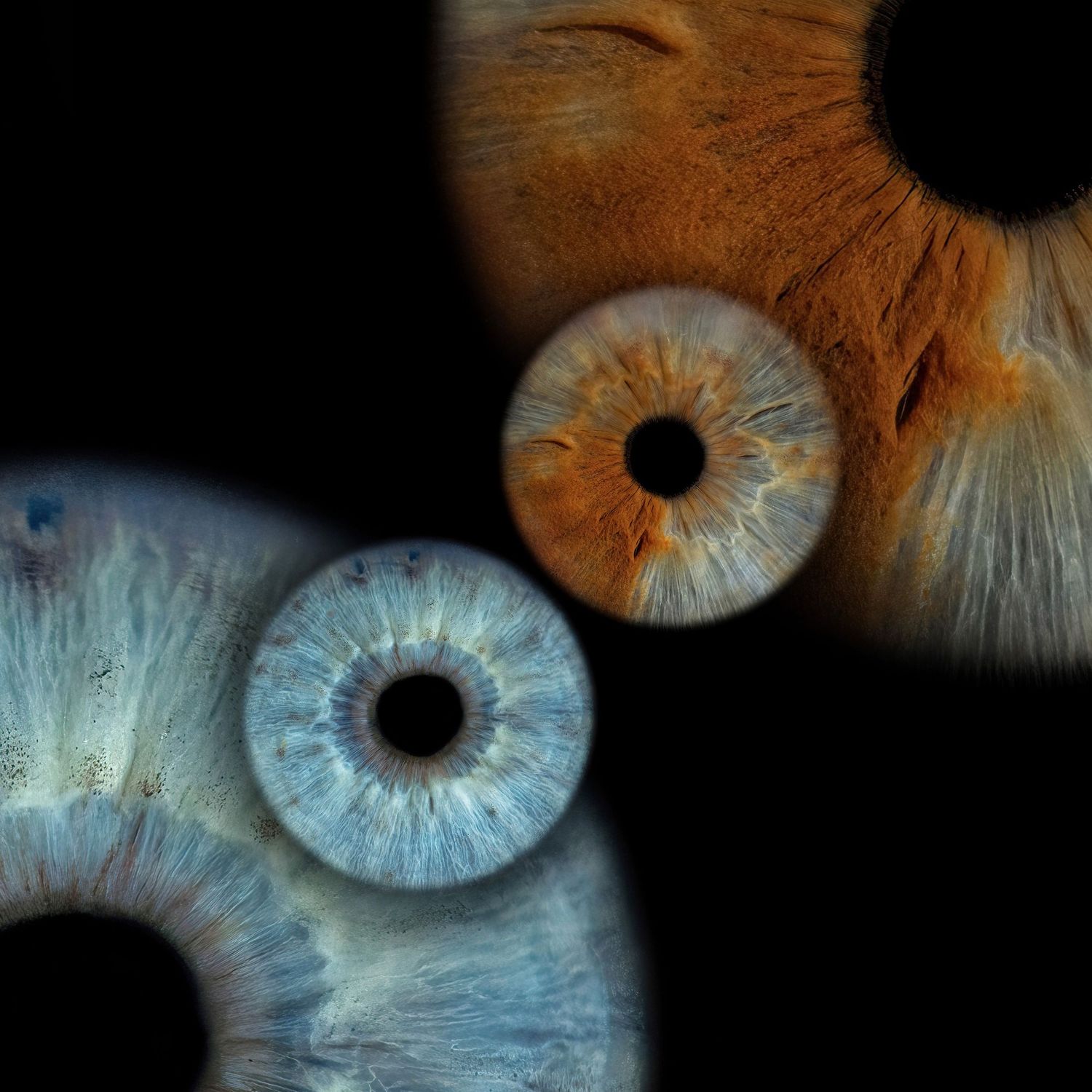 Close-up macro photography of two human eyes with brown and blue irises on a black background.