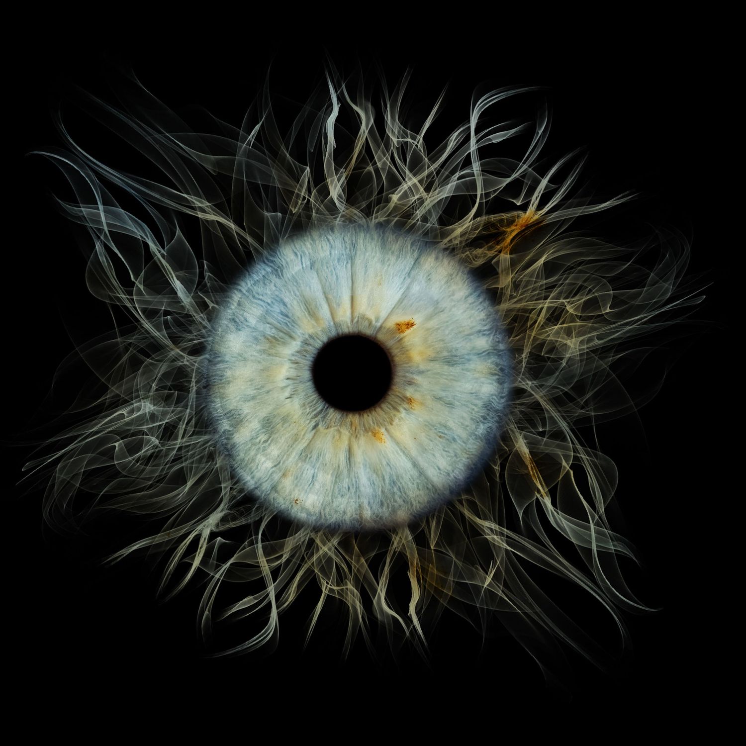 Close-up macro photo of a blue human eye iris surrounded by wispy fiber-like strands on black background.
