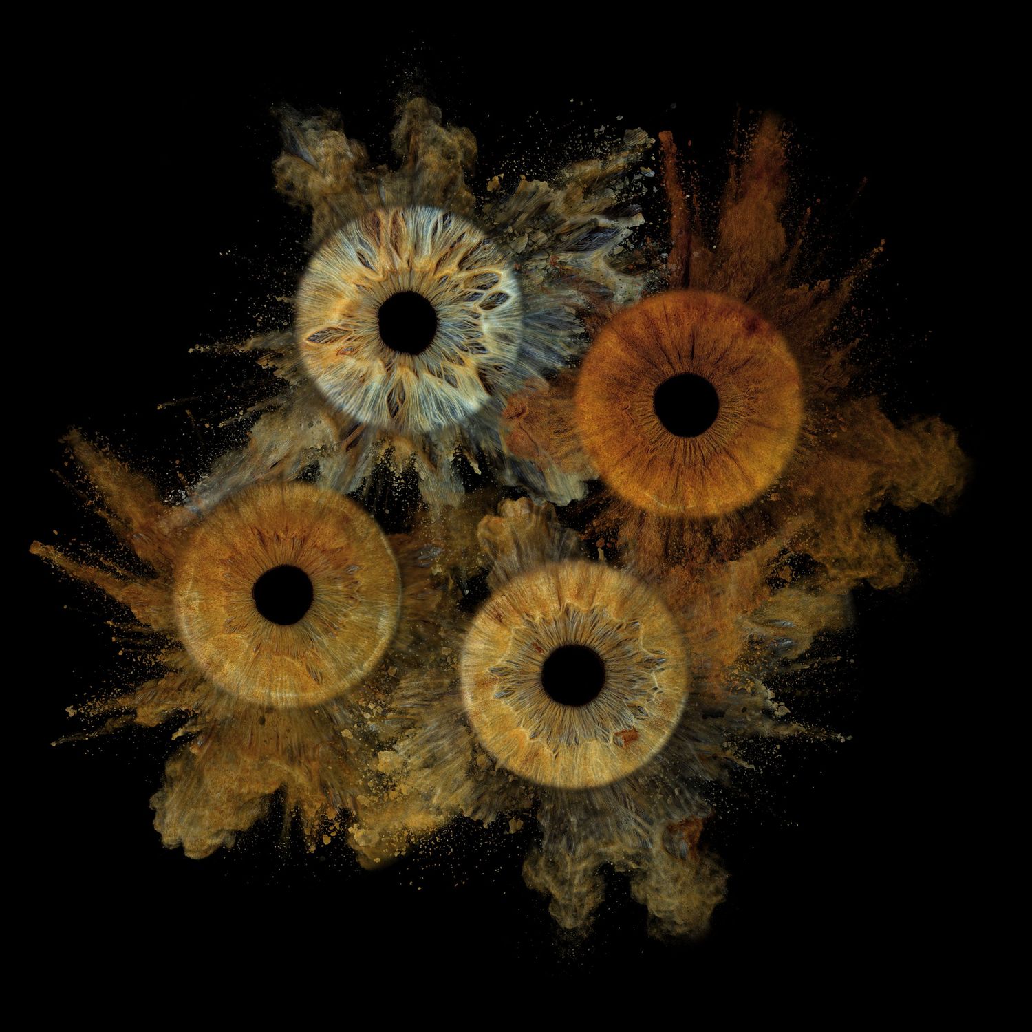 Four human irises with golden-brown hues burst dramatically against a black background in an explosive artistic composition.