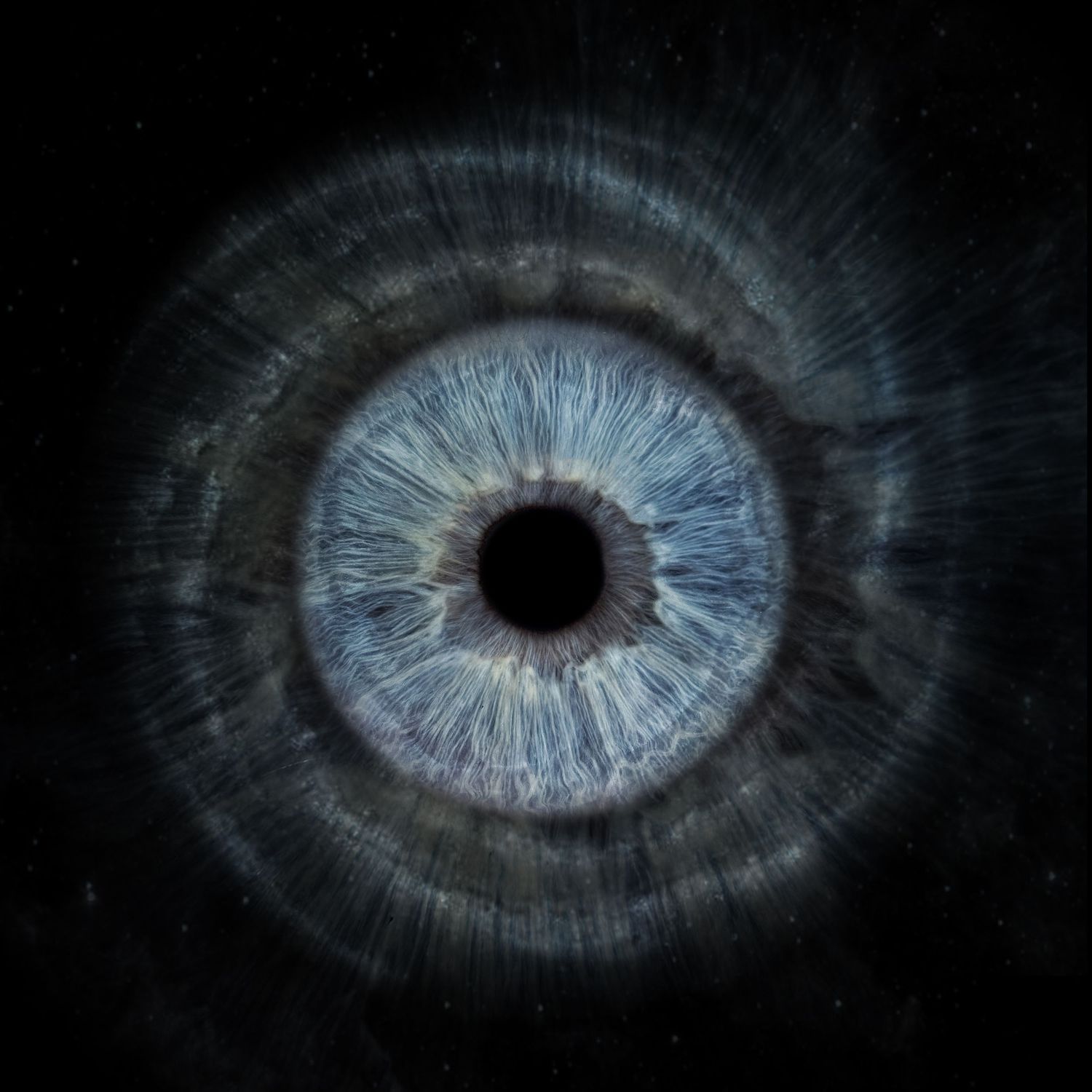 Detailed macro close-up of a blue human iris with dark cosmic rings on black background.