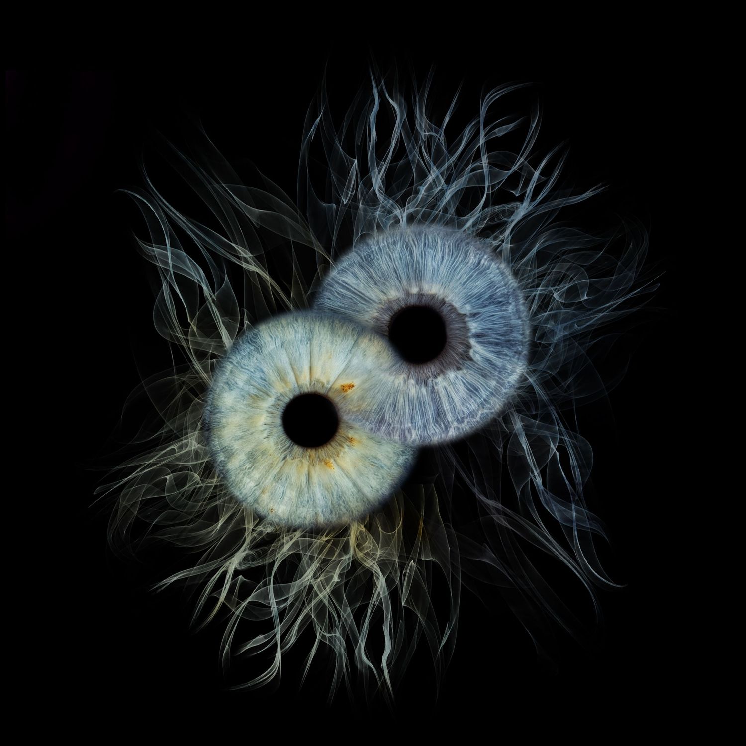 Two human eyes arranged in a yin-yang formation with blue irises and wispy fiber-like lashes on black background.