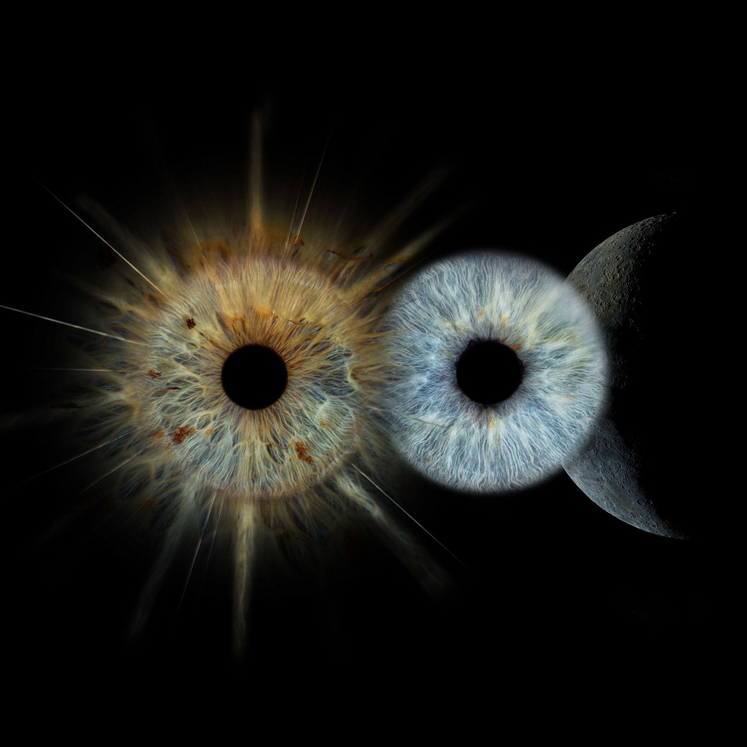Brown sunburst iris beside blue moon-shaped iris against black background with cosmic light effects.