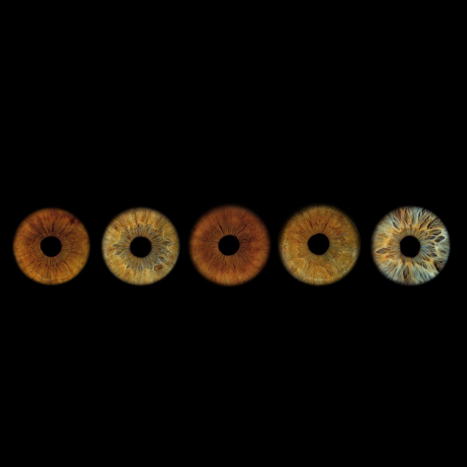 Five human irises in shades of brown, amber, and blue-gray displayed in a row against a black background.