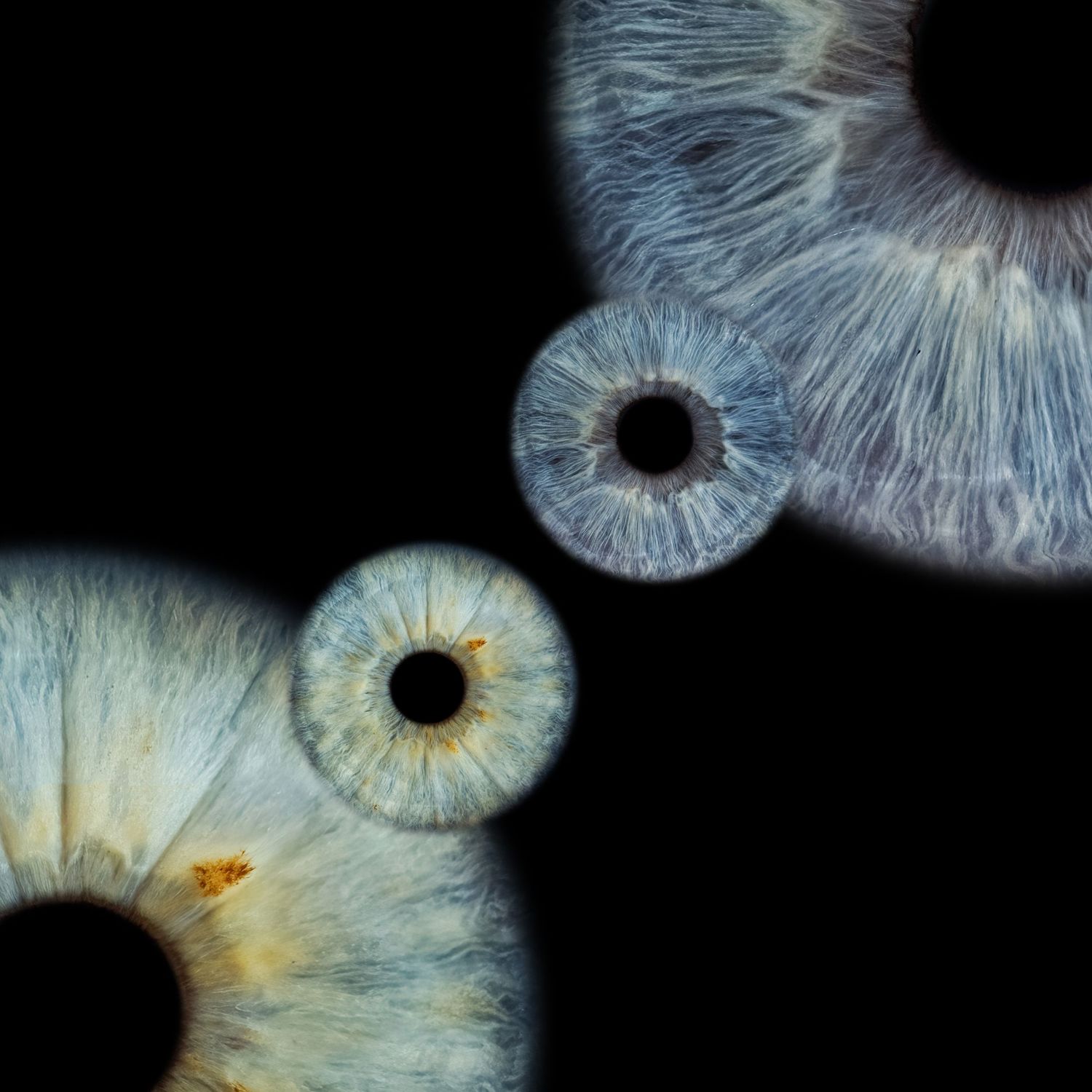 Close-up macro photography of three human eyes with blue irises arranged artistically on black background.