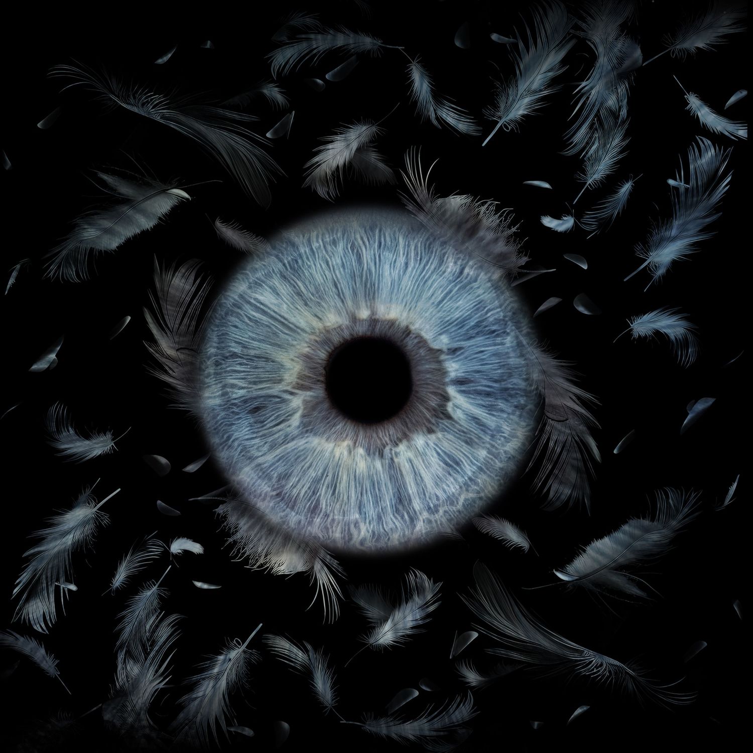 A surreal blue human eye surrounded by dark floating feathers on a black background.