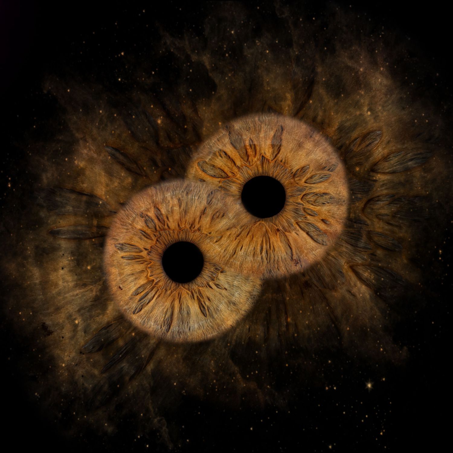 Two overlapping human eyes with golden-brown irises set against a dark cosmic starfield background.