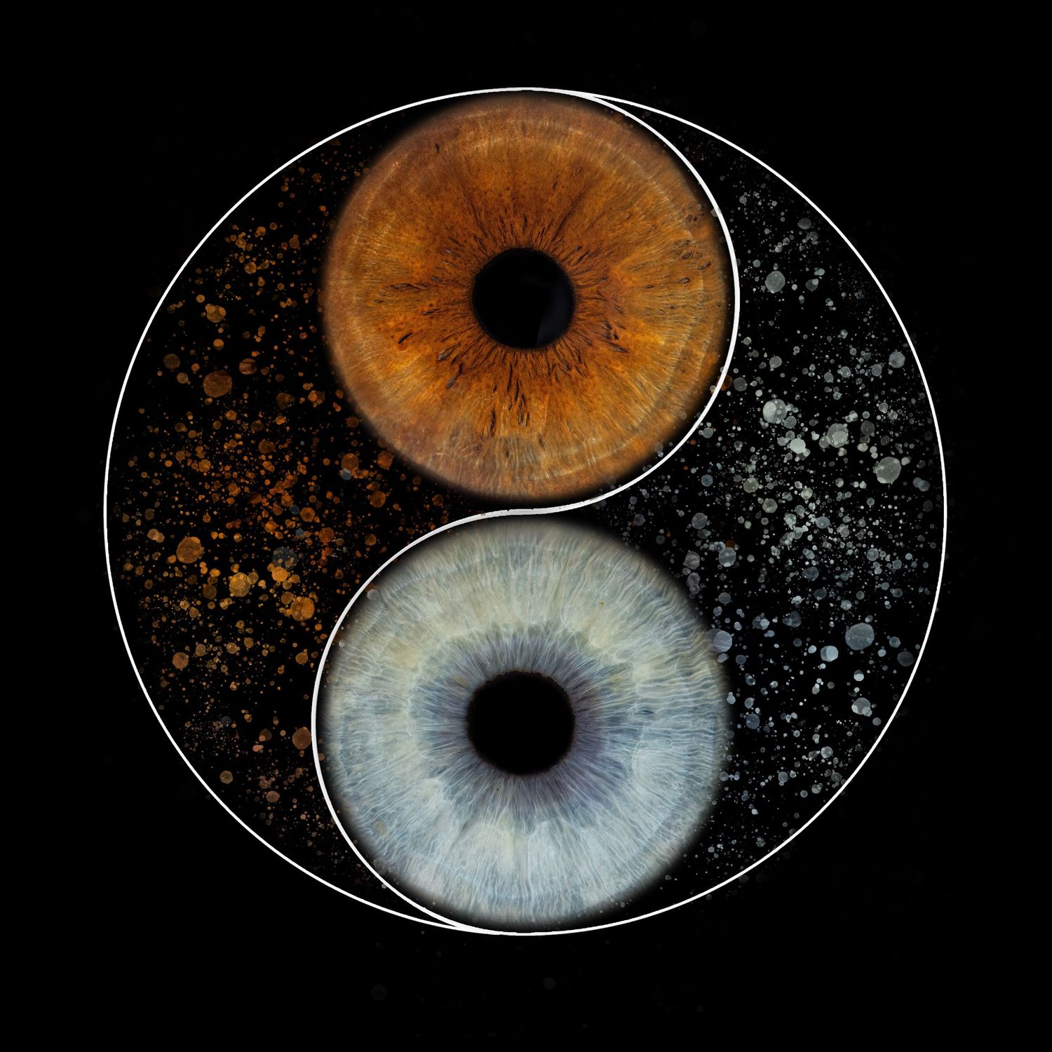 Yin yang symbol created with two human eyes, one amber brown and one blue iris on black background.