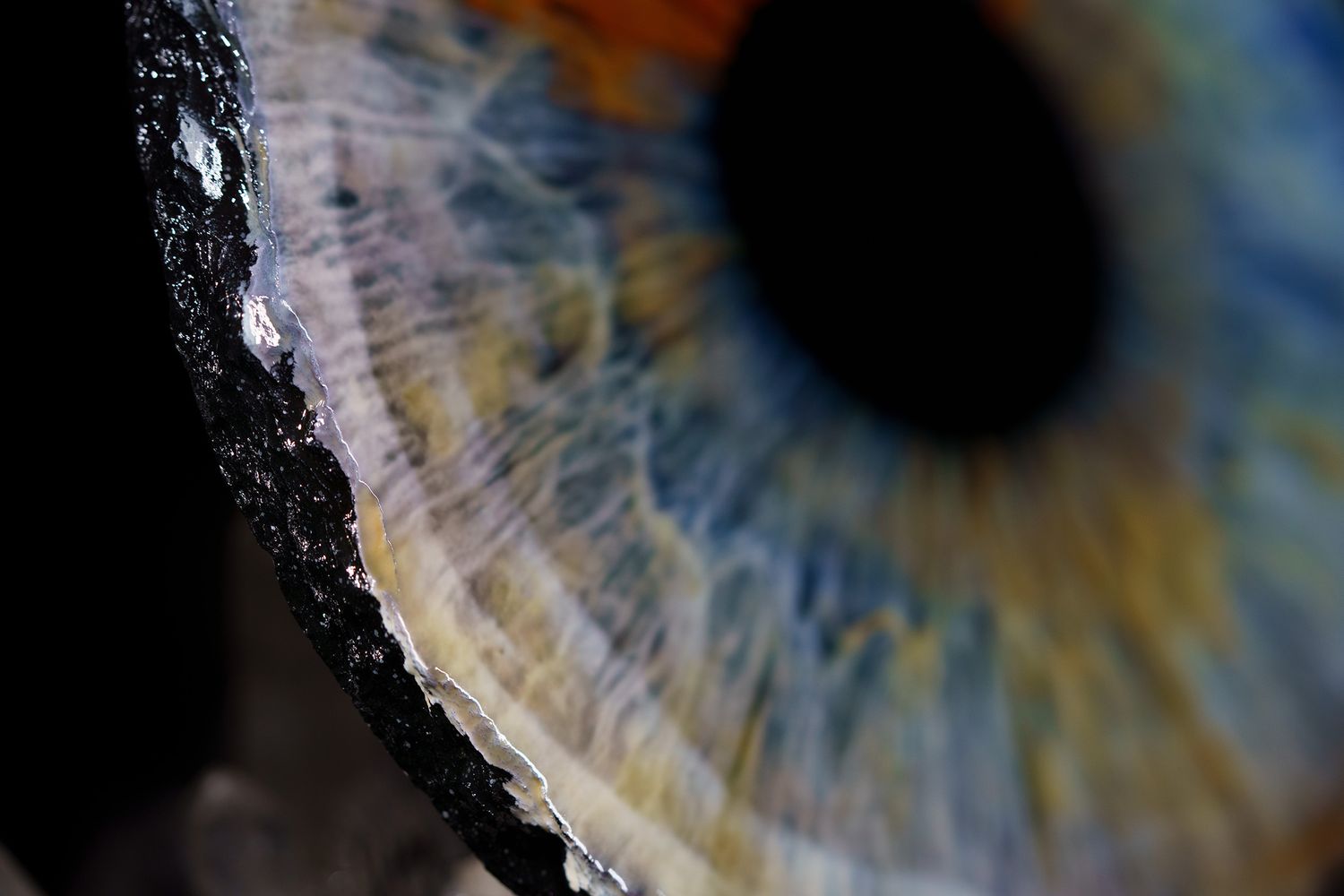 Extreme macro photograph of a human iris showing detailed blue and brown patterns and textures.