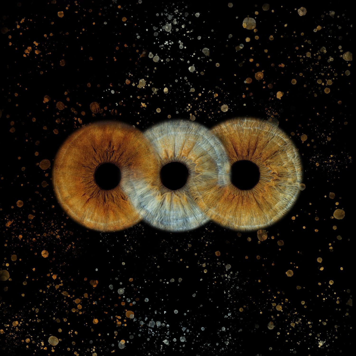 Three overlapping iris close-ups in amber and blue tones against a dark starry background.