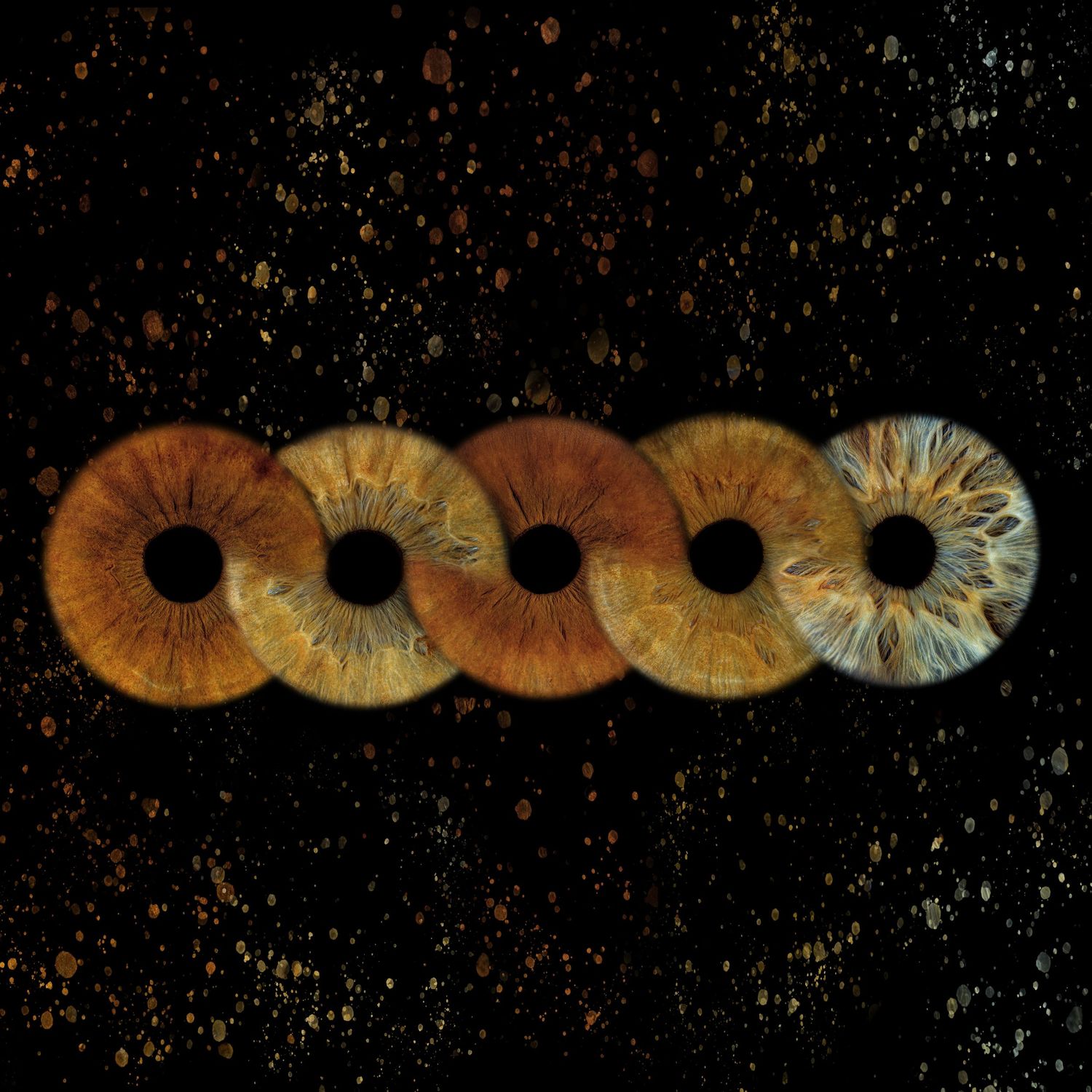 Five human iris rings arranged in a row, transitioning from warm brown to cool blue tones on a dark background.