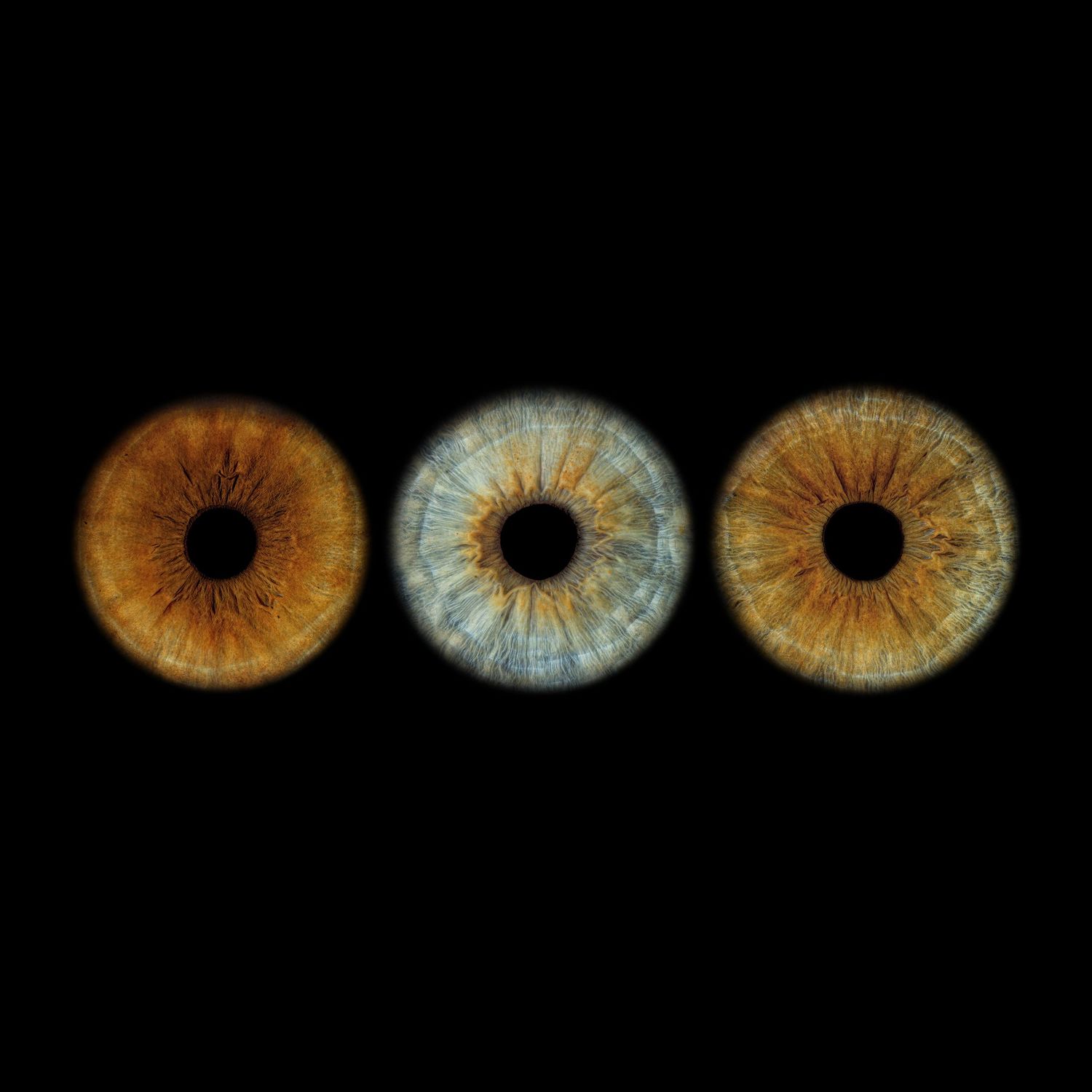 Three close-up human iris macro photographs showing brown, blue-gray, and hazel eye colors on black background.