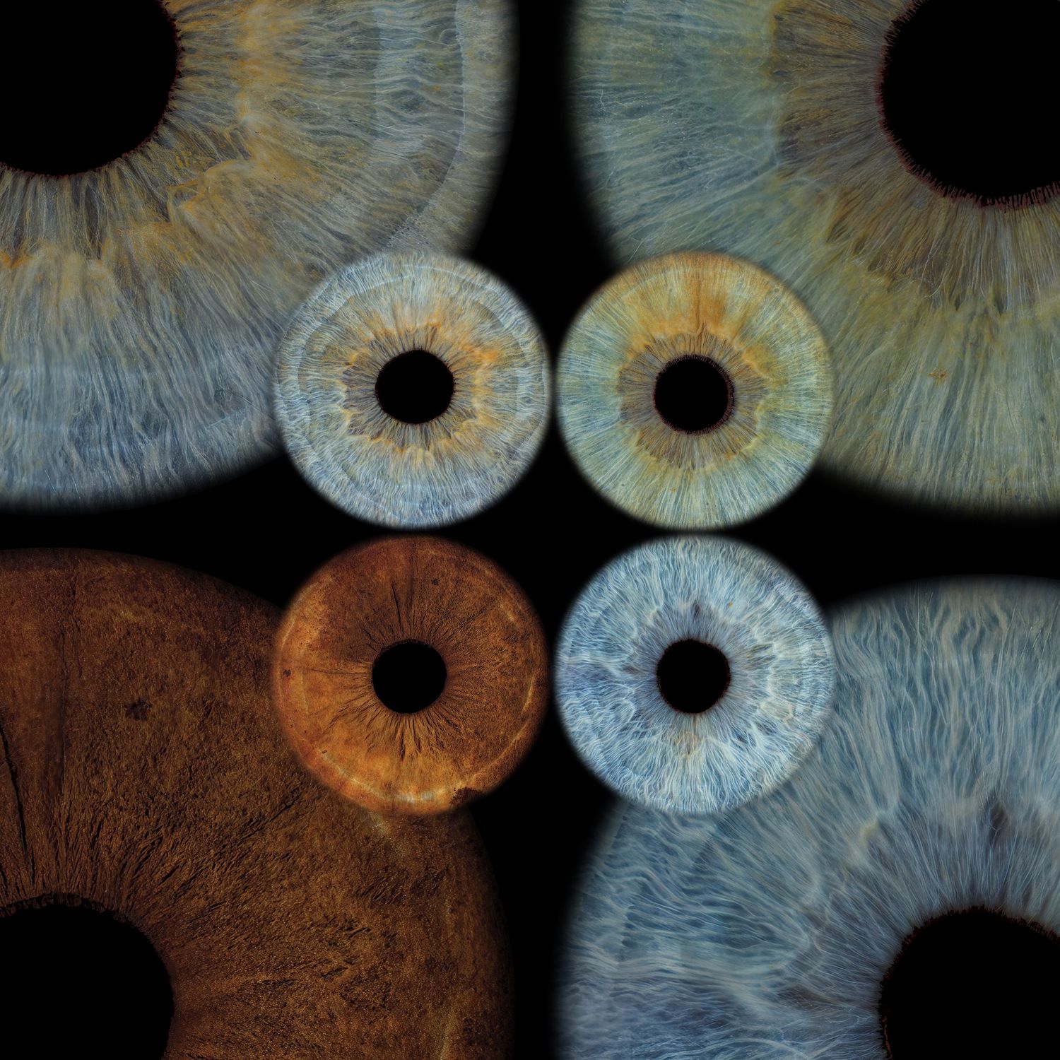 Close-up macro photography of four human eyes showing blue, green, and brown iris textures on black background.