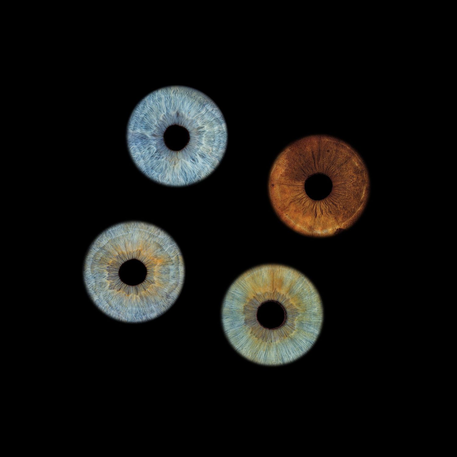 Four detailed macro photographs of human irises in blue, amber, and green hues on a black background.