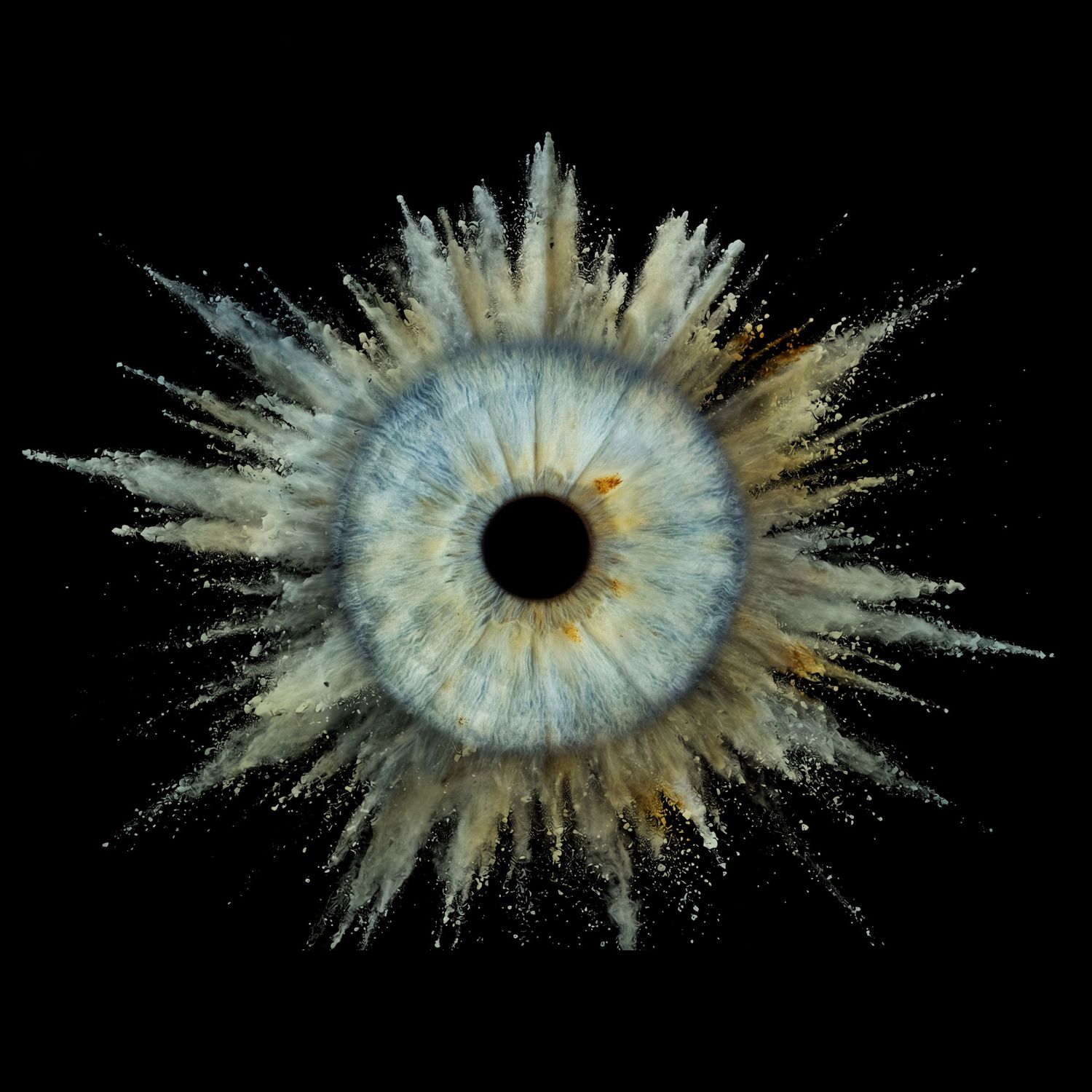 Macro photo of a blue human eye with sandy powder exploding outward on black background.