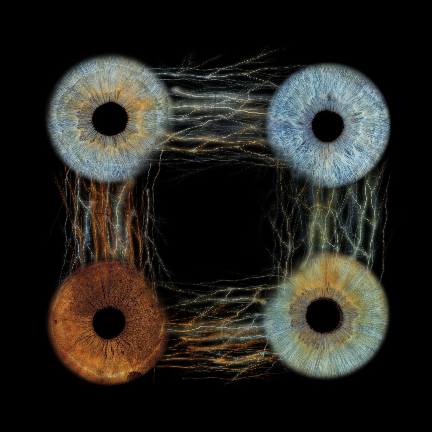 Four human irises arranged in a square pattern on black background, showing blue and brown eyes with neural fiber textures.