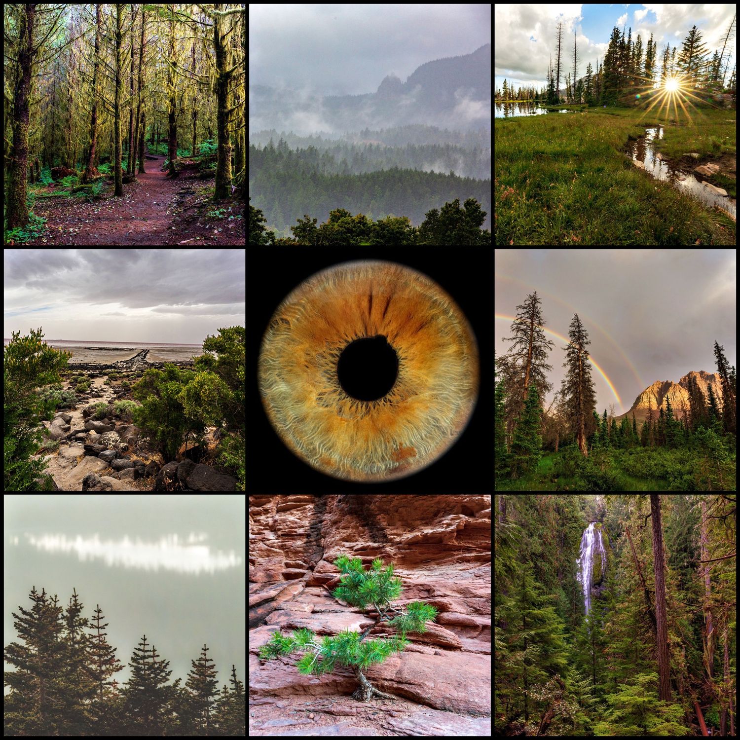 A collage of nine nature images featuring lush forests, misty mountains, a close-up of a human eye, red rocks, and a waterfall.