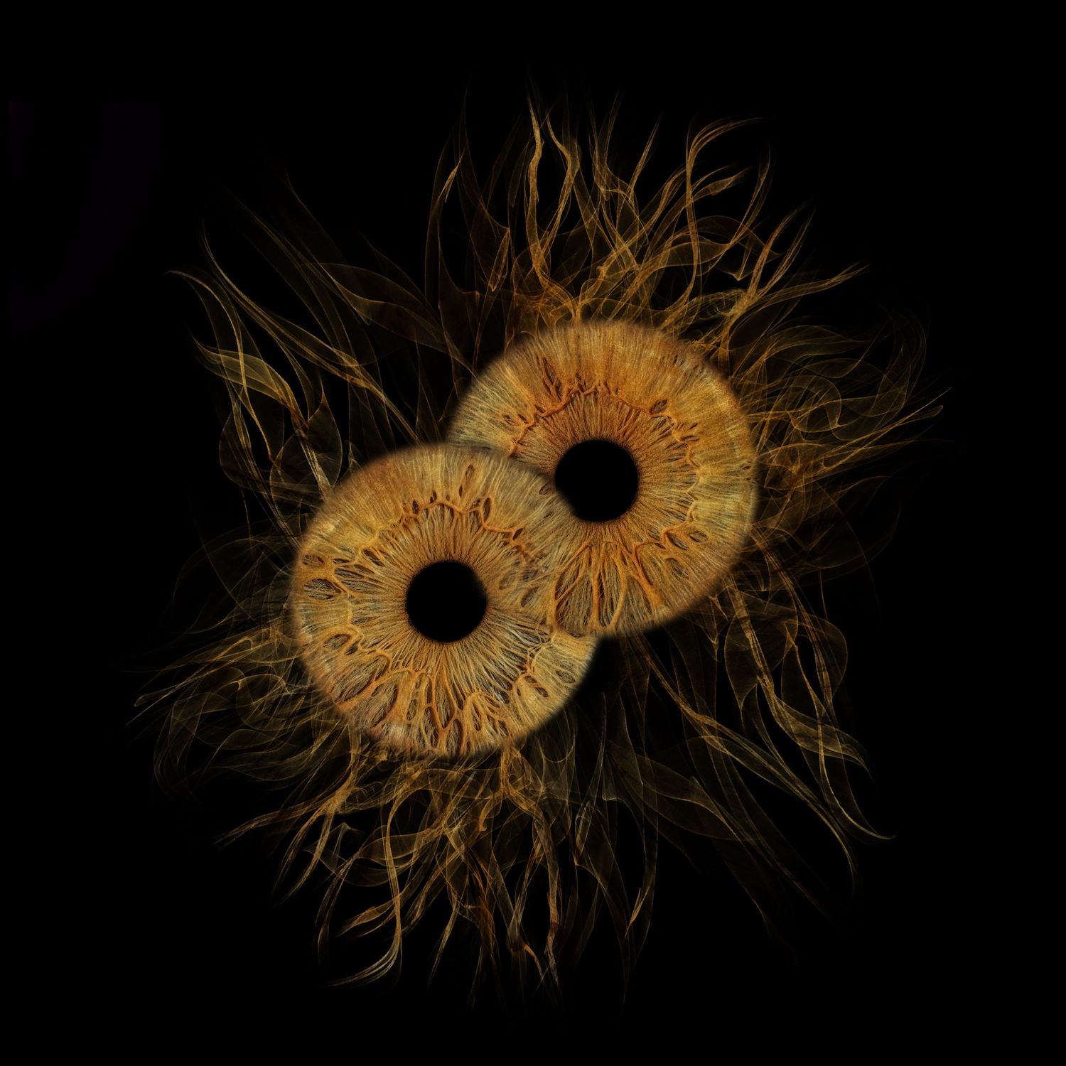 Two golden-brown human irises with dramatic fiber-like textures radiating outward against a dark black background.