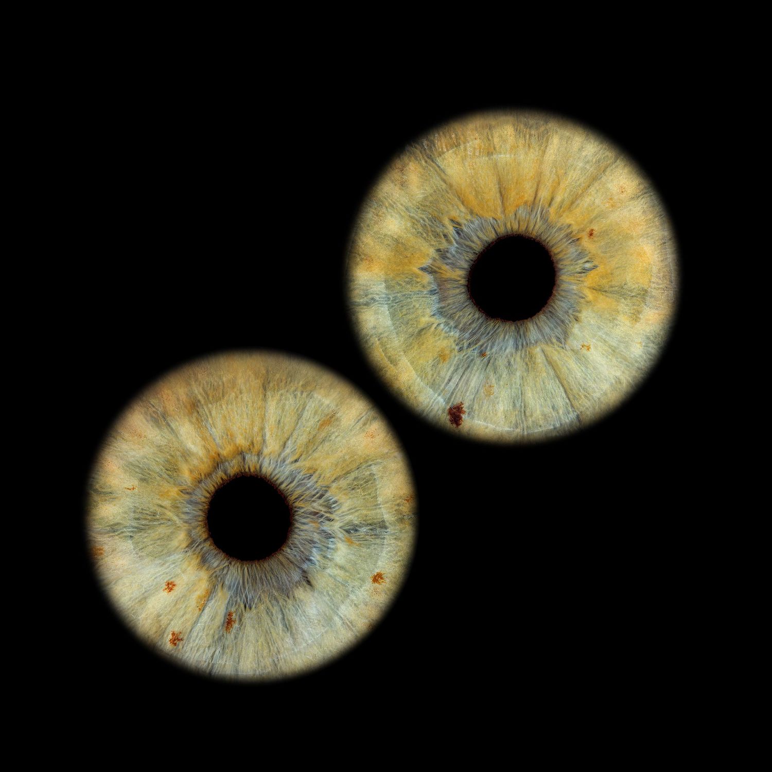 Close-up macro photograph of two human eyes with hazel irises on black background.