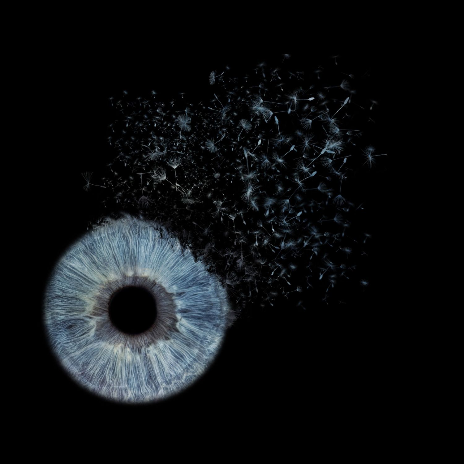 A blue human iris dissolving into dark particles against a black background.