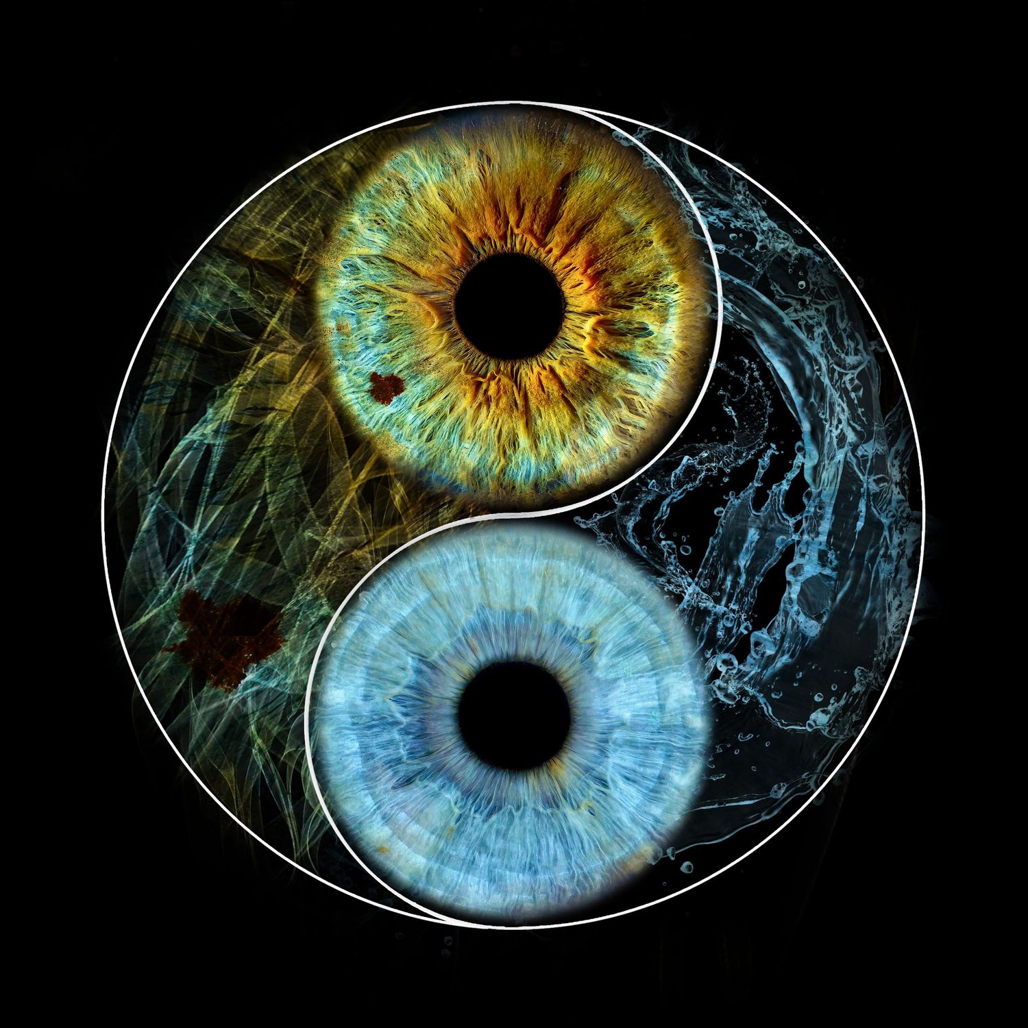 Artistic interpretation of yin yang symbol made with contrasting brown and blue human iris macro photographs against black.
