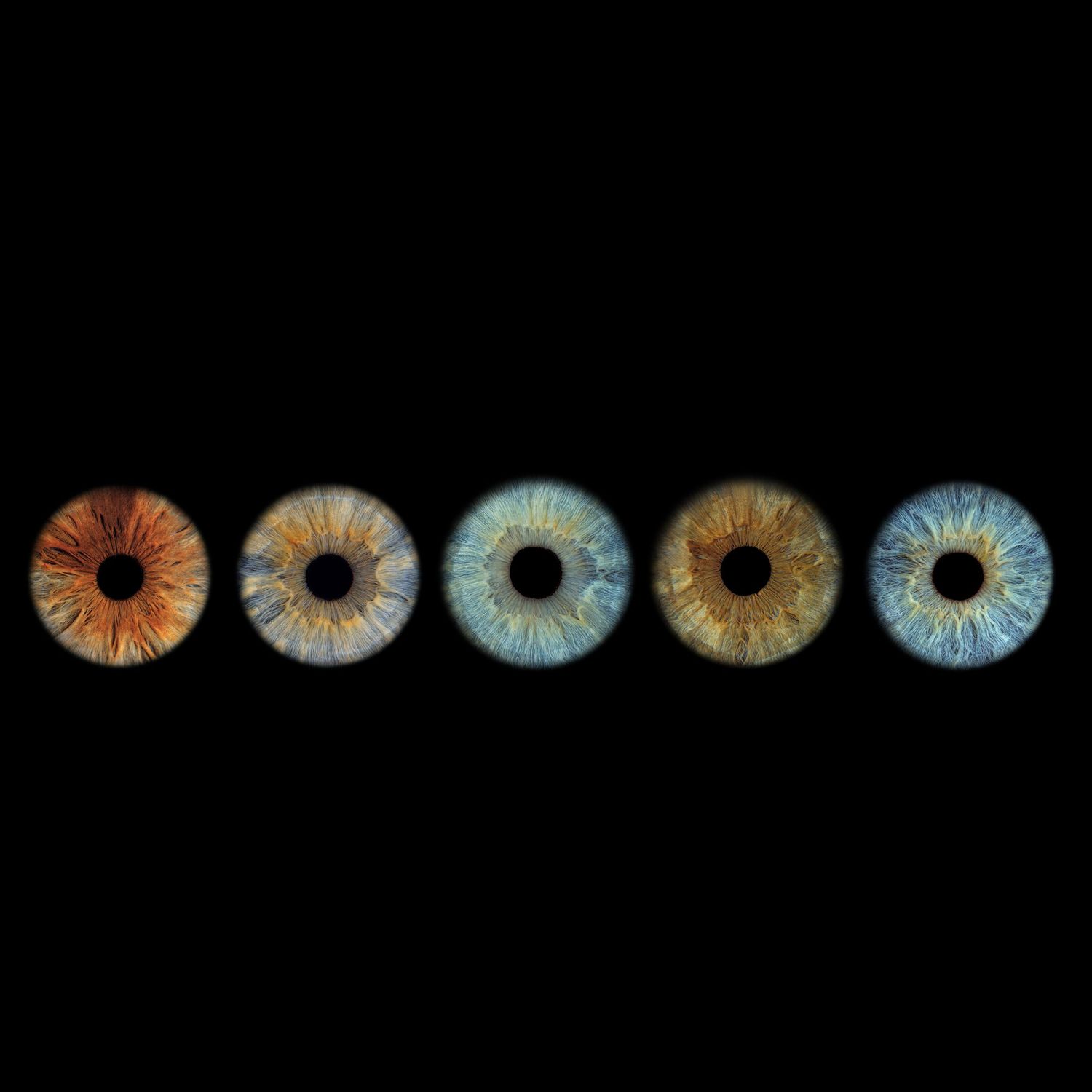 Five human irises in a row showing varying colors from brown to blue on a black background.