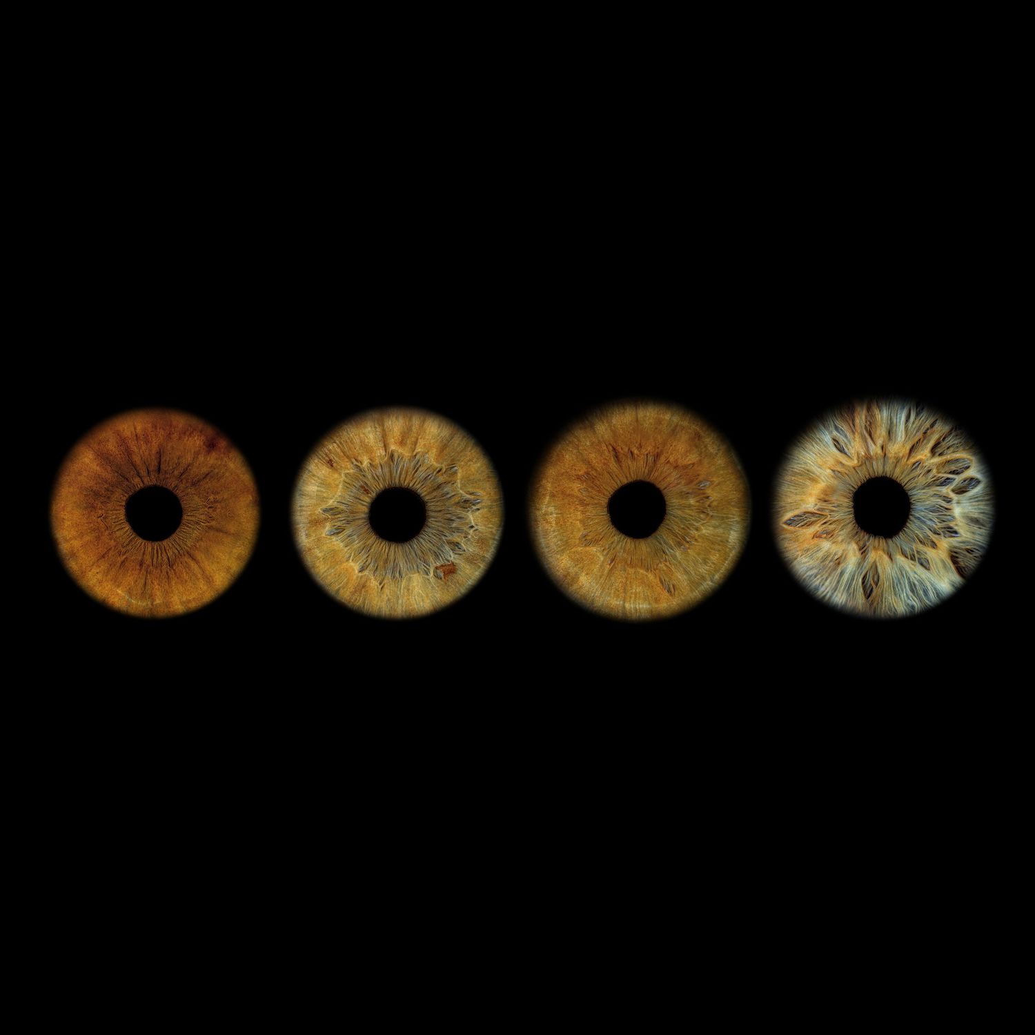 Four human iris close-ups in shades of amber, brown, and blue-gray on black background, showcasing eye color variation.