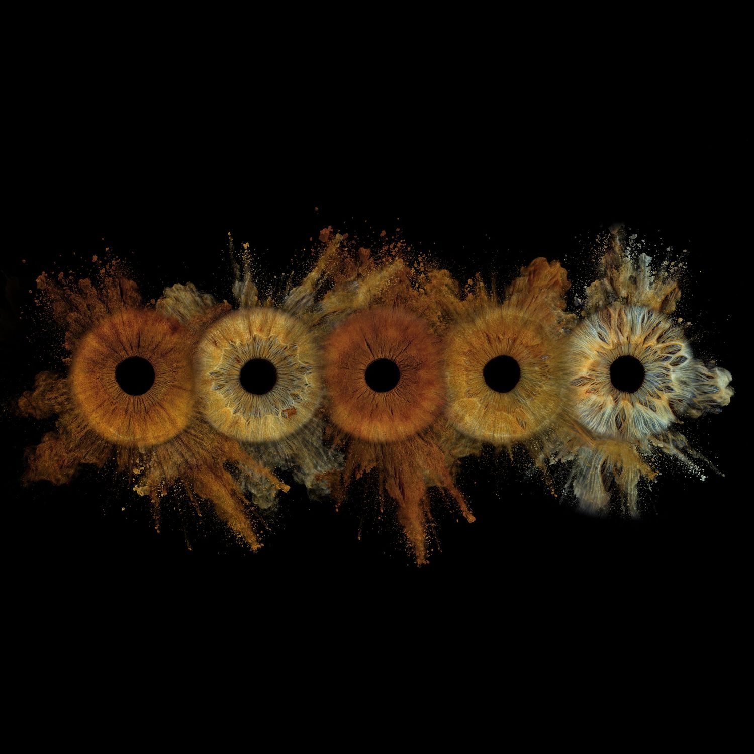 Four human eyes with golden-brown irises exploding with colorful powder bursts on a black background.
