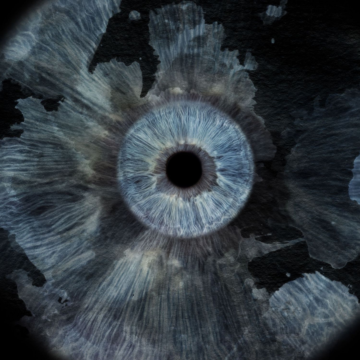 Extreme macro photography of a blue eye iris with radiating fibers and dark cracked texture surrounding it.