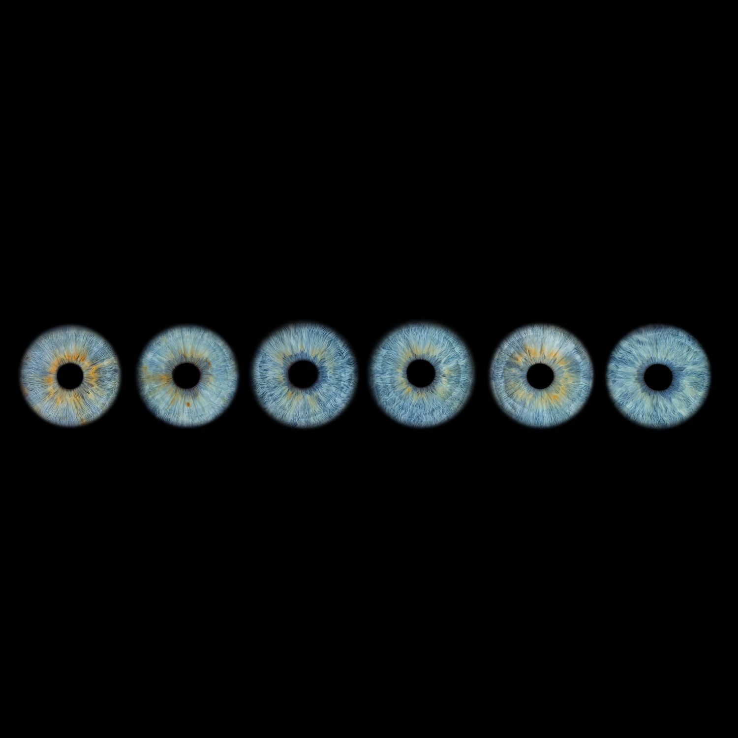 Six blue human irises arranged in a row against a black background, showcasing intricate eye detail.
