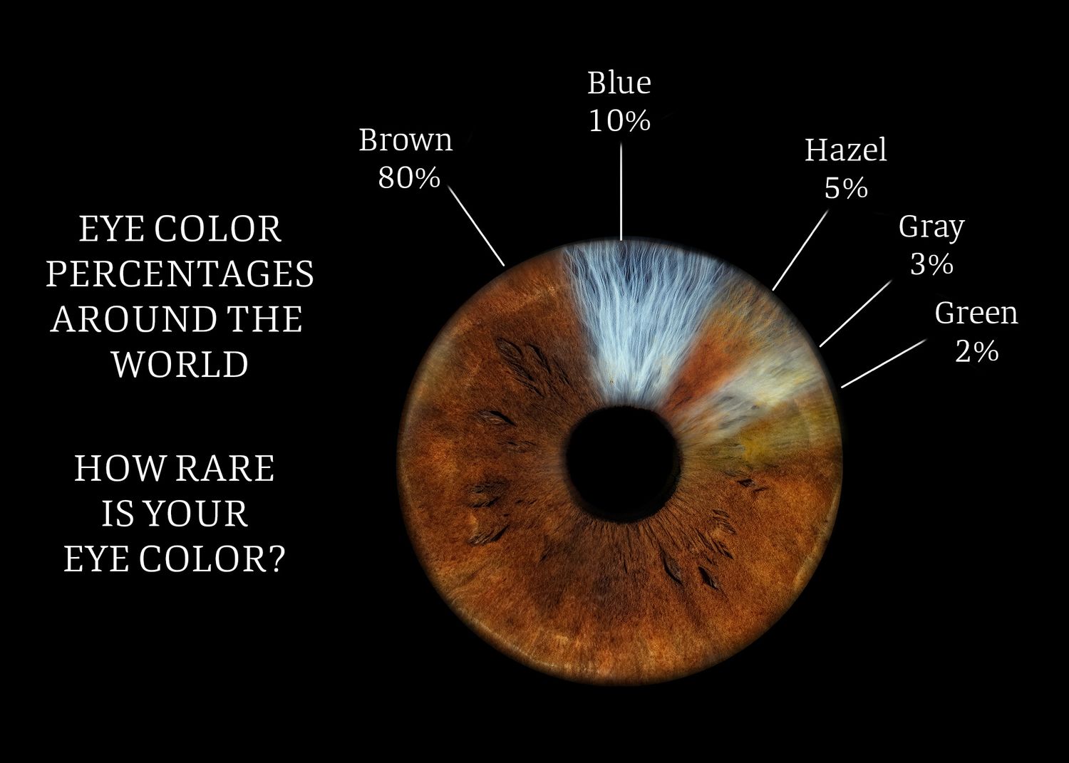 Infographic showing world eye color percentages with brown at 80% on a detailed iris background.