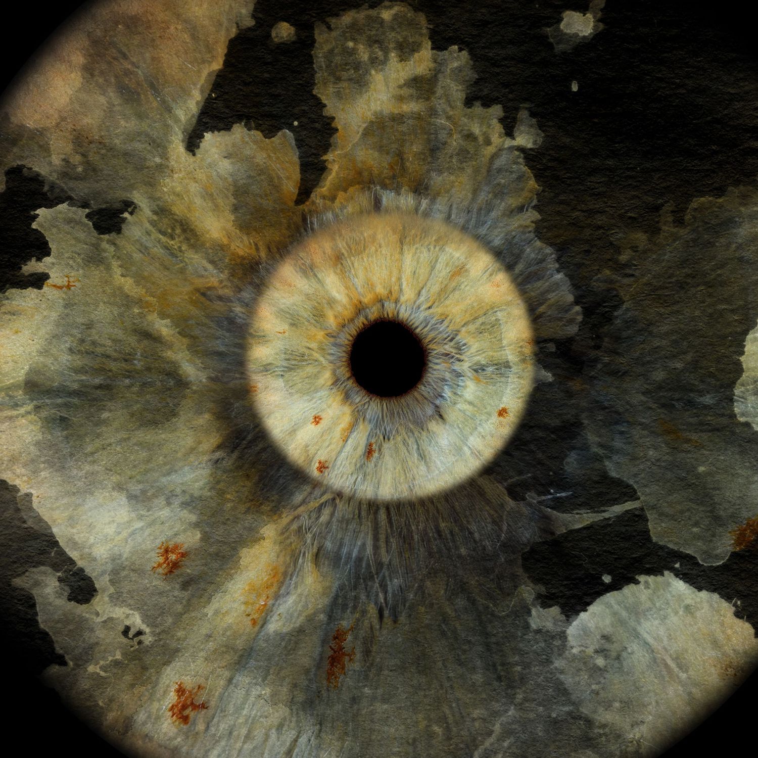 Detailed macro eye iris photo with golden hues set against a weathered dark textured background.