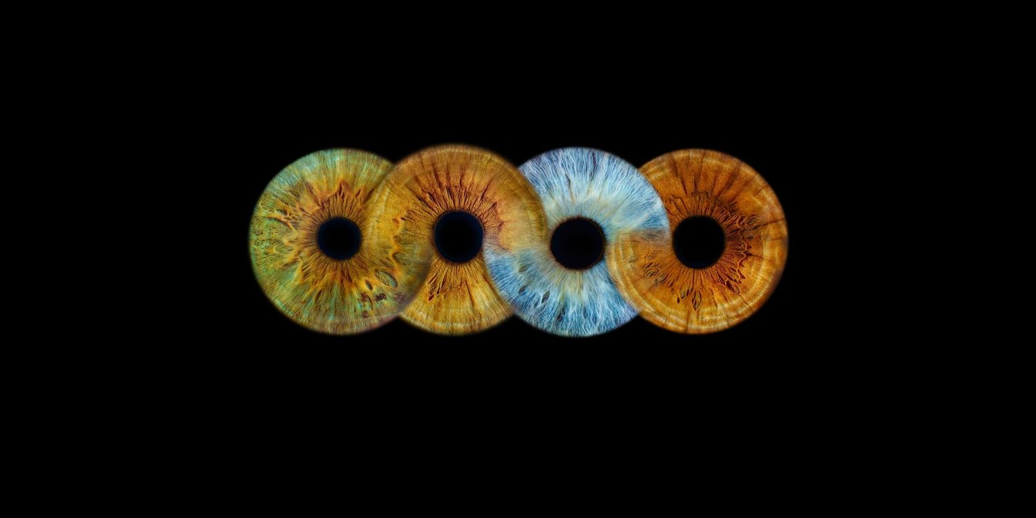 family infinity blend iris eye collage