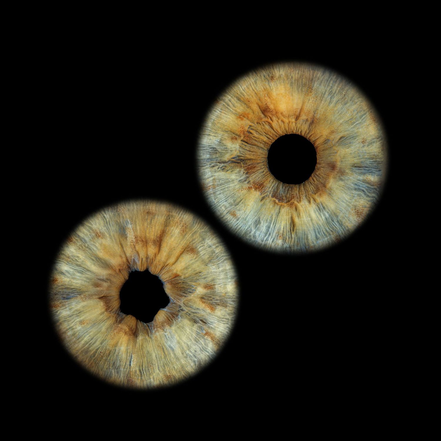 Macro close-up of two human irises with amber, brown and blue-gray patterns and dark pupils against a black background.