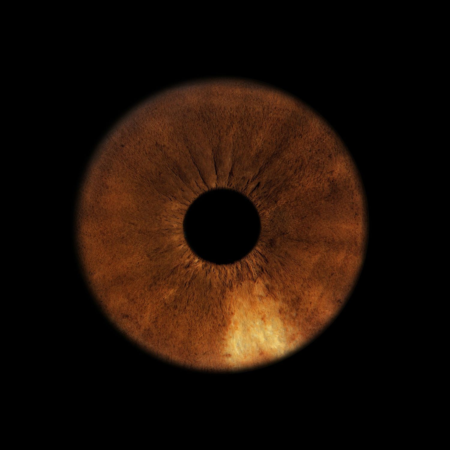 Extreme macro close-up of a single brown human iris with detailed texture on black background.