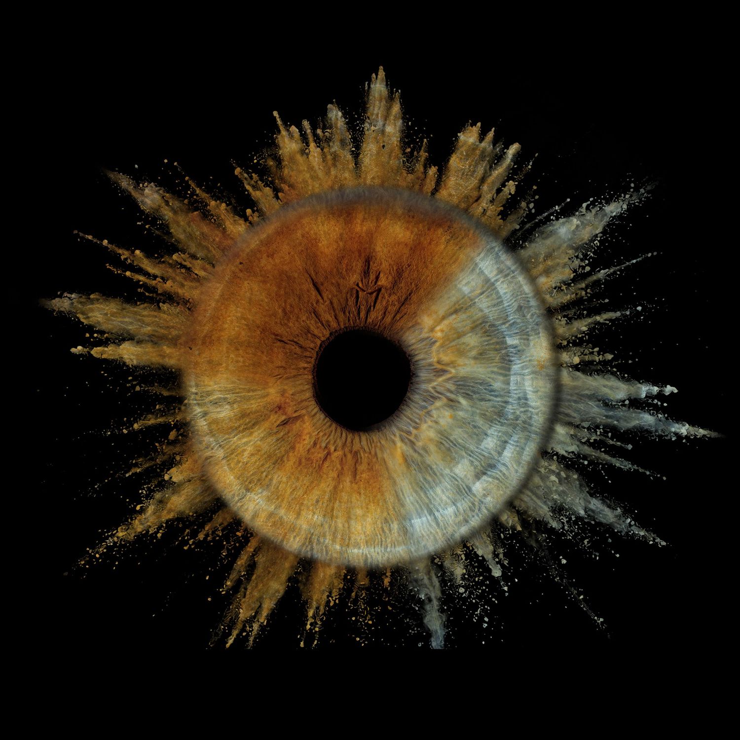 Close-up macro photo of a human eye iris with golden-brown tones and explosive powder burst effect on black background.