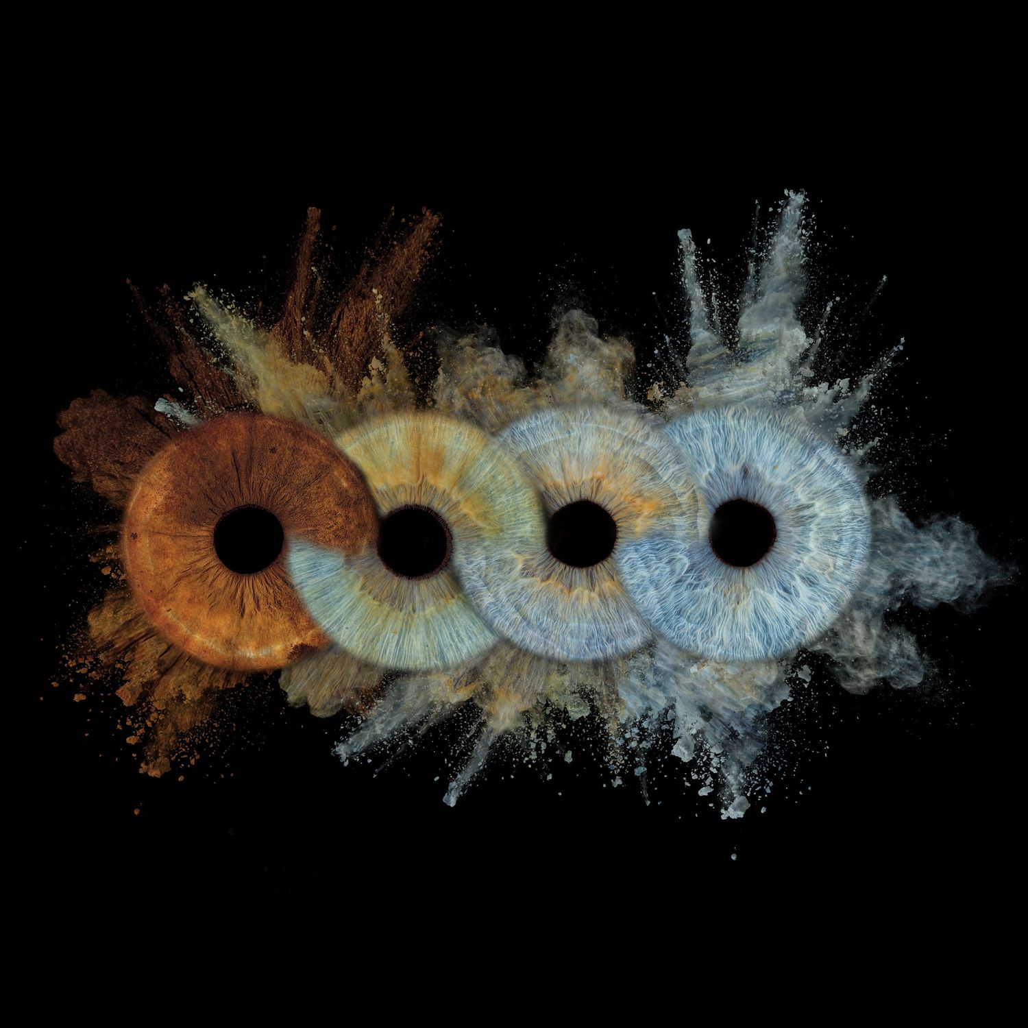 Four human eyes with explosive powder bursts transitioning from brown to blue iris colors on black background.