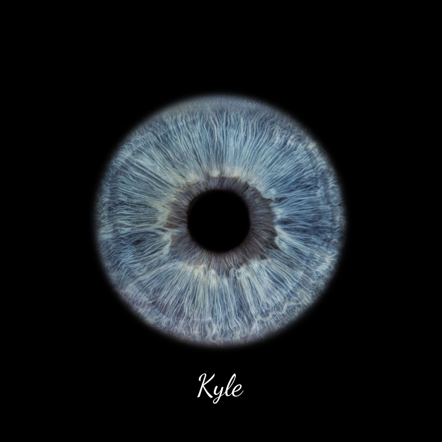 Detailed macro close-up of Kyle's blue eye iris isolated on a clean black background.