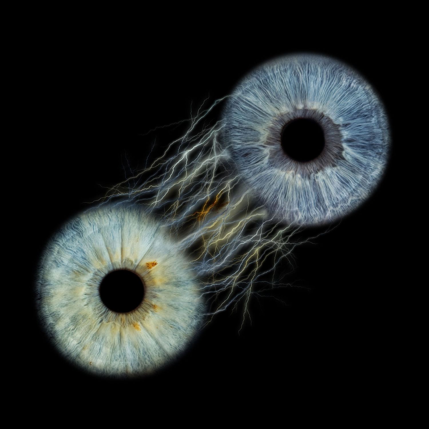 Two blue human irises with intricate fiber-like details connected by light strands on a black background.
