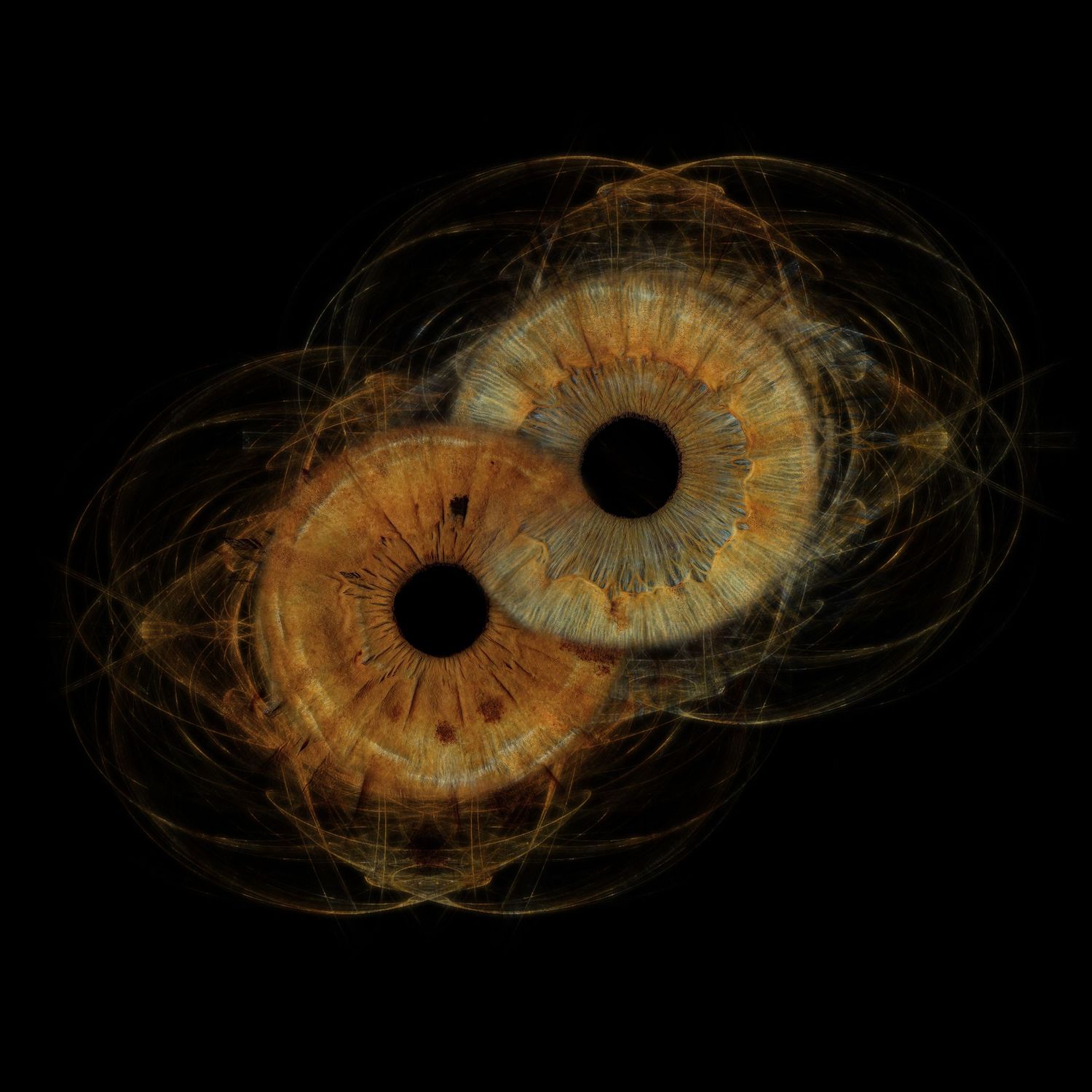 Two overlapping amber human irises surrounded by glowing golden fractal lines on black background.