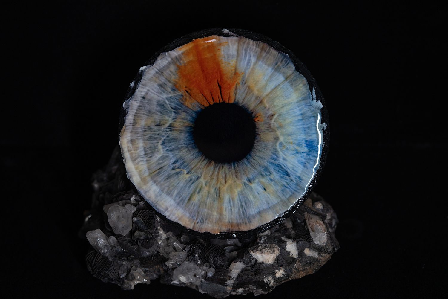 A detailed sculptural artwork of a realistic blue and orange eye iris mounted on dark crystals against black background.