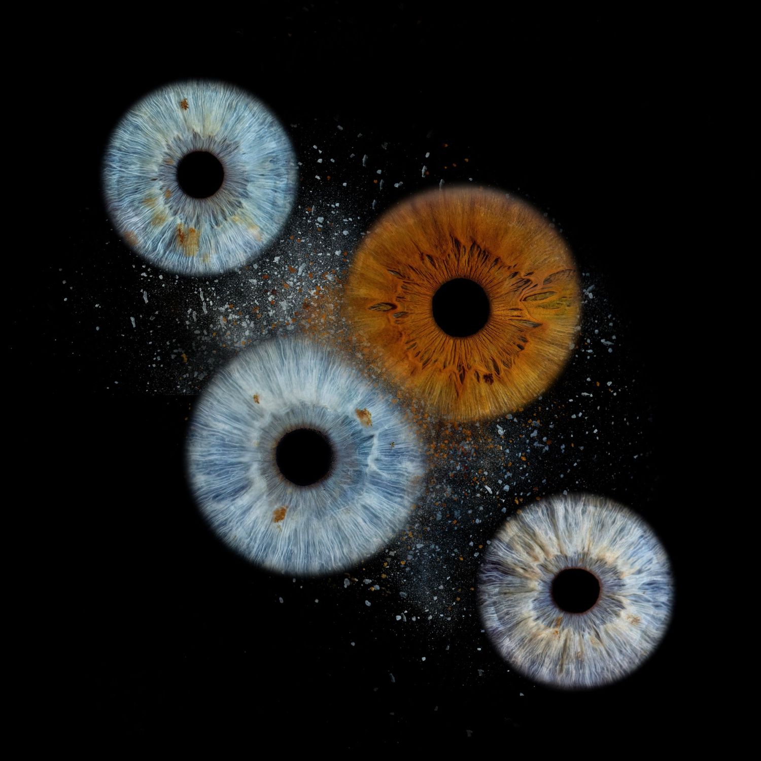 Close-up macro photography of four human irises, three blue and one amber, floating on black background.