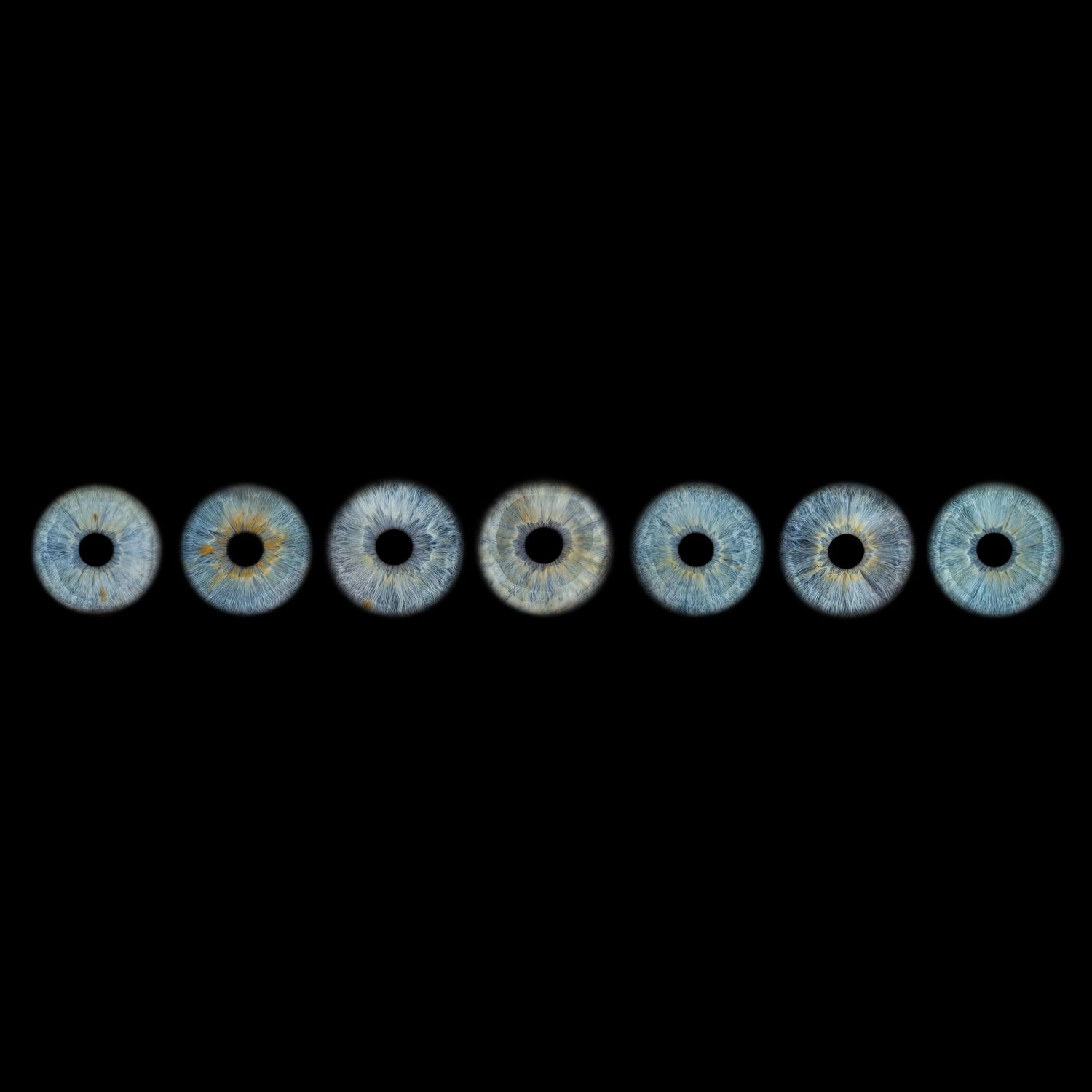 Seven blue human irises arranged in a row against a black background, showcasing intricate eye anatomy.