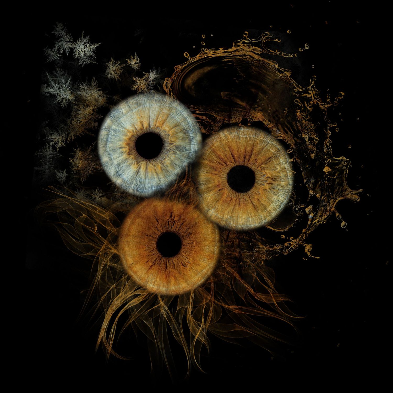 Three detailed iris close-ups in blue and amber tones arranged artistically on a dark background with organic textures.