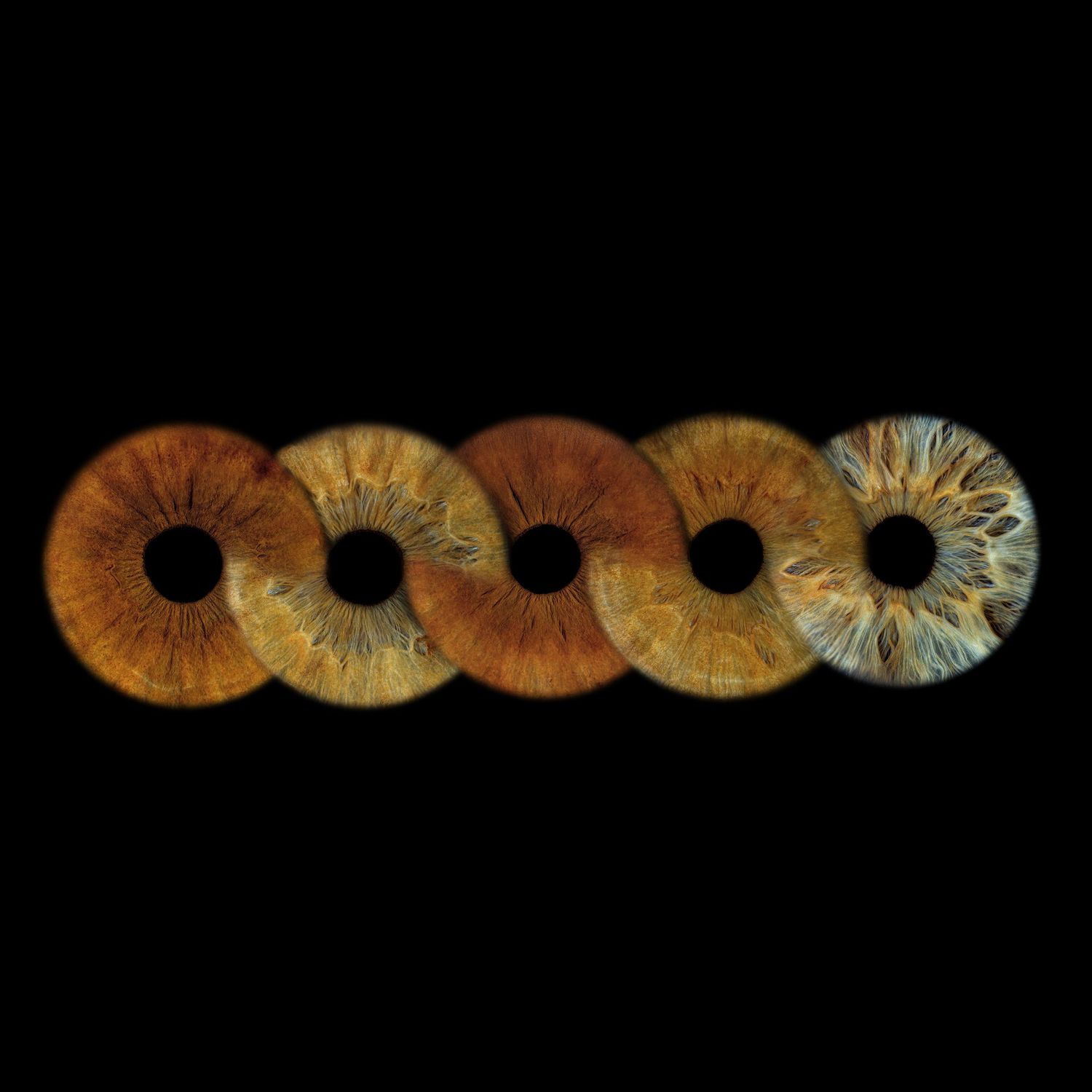 Five human iris close-ups arranged in a row, ranging from warm brown to cool blue-gray tones on black background.
