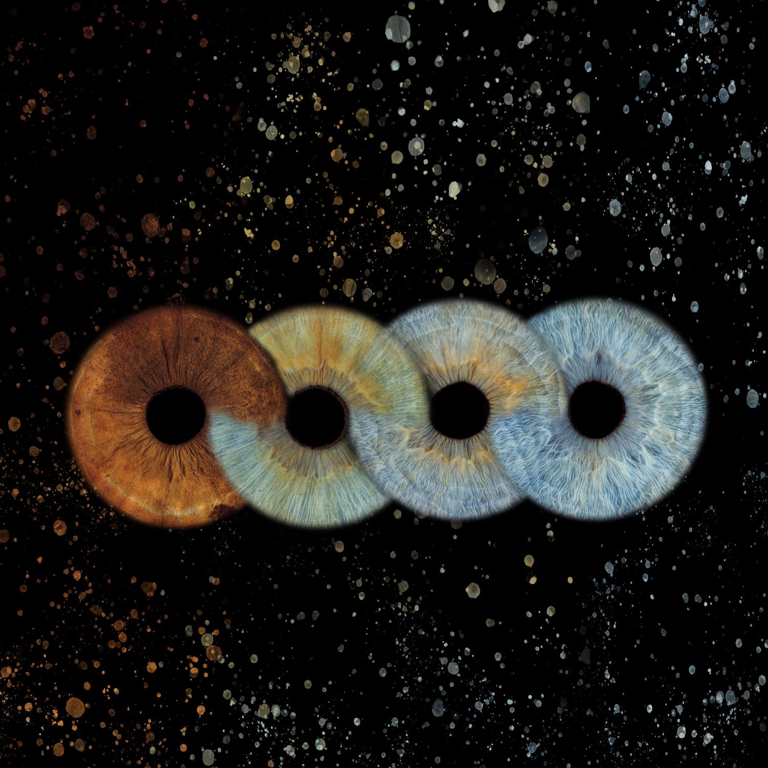 Four human irises transitioning from warm amber to cool blue tones, arranged in a row on a dark starry background.